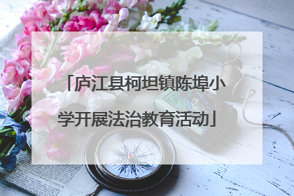 庐江县柯坦镇陈埠小学开展法治教育活动