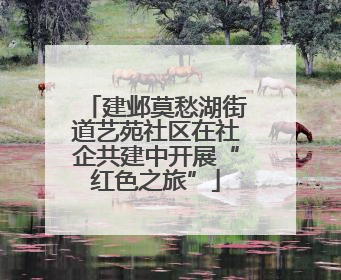 建邺莫愁湖街道艺苑社区在社企共建中开展“红色之旅”
