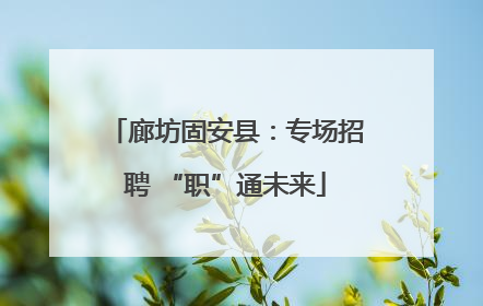 廊坊固安县：专场招聘 “职”通未来