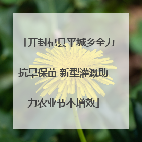 开封杞县平城乡全力抗旱保苗 新型灌溉助力农业节本增效