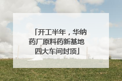 开工半年，华纳药厂原料药新基地四大车间封顶