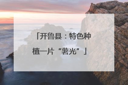开鲁县：特色种植一片“薯光”