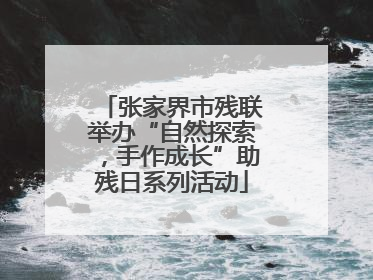 张家界市残联举办“自然探索，手作成长”助残日系列活动