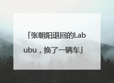 张朝阳退回的Labubu，换了一辆车