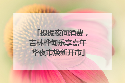 提振夜间消费，吉林桦甸乐享嘉年华夜市焕新开市