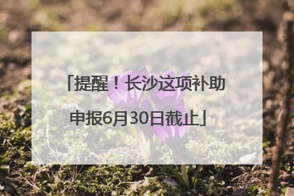 提醒！长沙这项补助申报6月30日截止