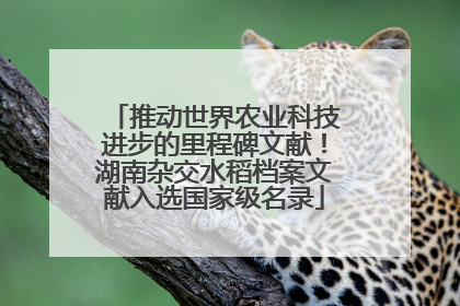 推动世界农业科技进步的里程碑文献！湖南杂交水稻档案文献入选国家级名录