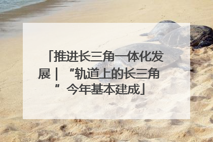 推进长三角一体化发展｜“轨道上的长三角”今年基本建成