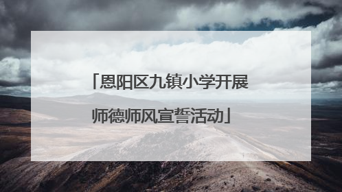 恩阳区九镇小学开展师德师风宣誓活动