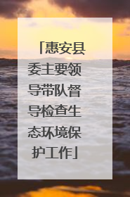 惠安县委主要领导带队督导检查生态环境保护工作