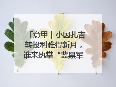 意甲｜小因扎吉转投利雅得新月，谁来执掌“蓝黑军团”帅印？