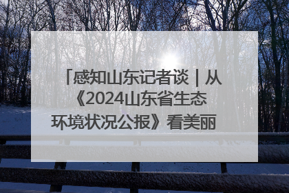 感知山东记者谈｜从《2024山东省生态环境状况公报》看美丽山东建设的“成绩单”与“任务书”