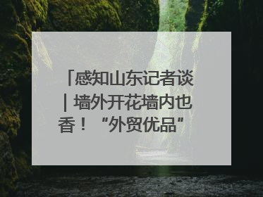 感知山东记者谈｜墙外开花墙内也香！“外贸优品”打通国内国际市场“旋转门”