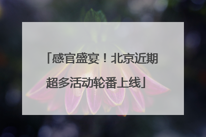 感官盛宴！北京近期超多活动轮番上线