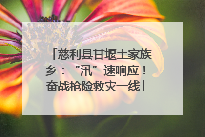 慈利县甘堰土家族乡：“汛”速响应！奋战抢险救灾一线