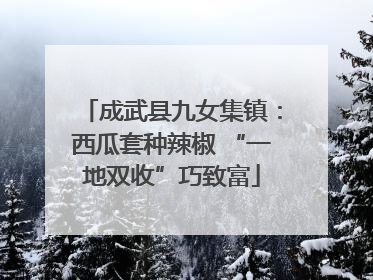 成武县九女集镇：西瓜套种辣椒 “一地双收”巧致富