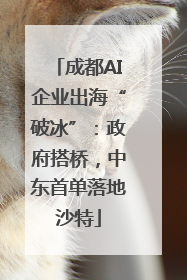 成都AI企业出海“破冰”：政府搭桥，中东首单落地沙特