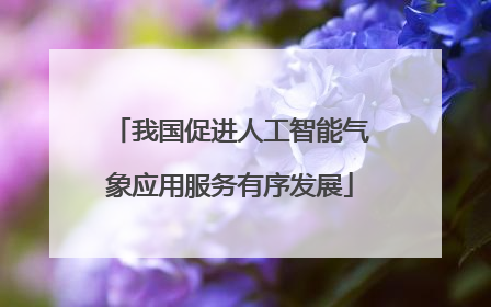 我国促进人工智能气象应用服务有序发展
