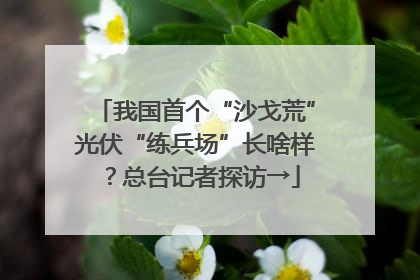 我国首个“沙戈荒”光伏“练兵场”长啥样？总台记者探访→