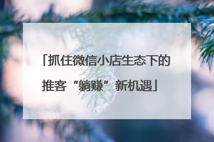 抓住微信小店生态下的推客“躺赚”新机遇