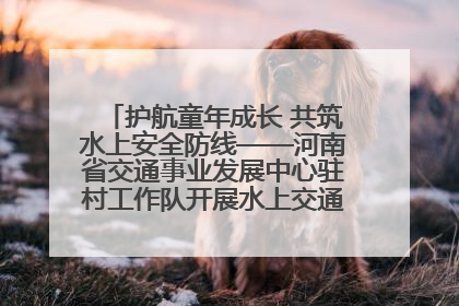 护航童年成长 共筑水上安全防线——河南省交通事业发展中心驻村工作队开展水上交通安全知识进校园活动