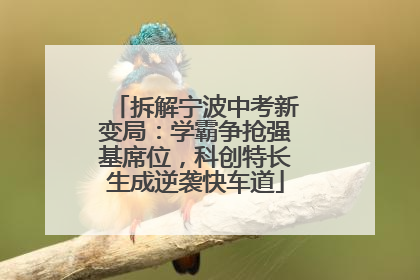 拆解宁波中考新变局：学霸争抢强基席位，科创特长生成逆袭快车道