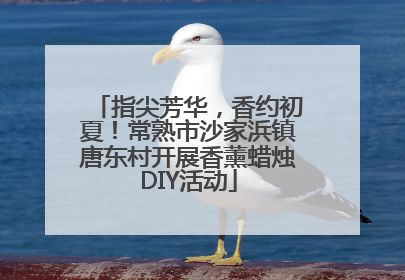 指尖芳华，香约初夏！常熟市沙家浜镇唐东村开展香薰蜡烛DIY活动