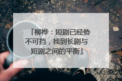 柳桦：短剧已经势不可挡，找到长剧与短剧之间的平衡