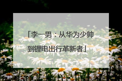 李一男：从华为少帅到锂电出行革新者