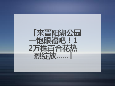 来晋阳湖公园一饱眼福吧！12万株百合花热烈绽放……