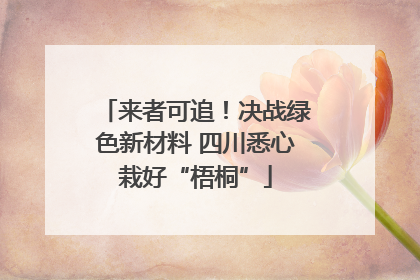 来者可追！决战绿色新材料 四川悉心栽好“梧桐”