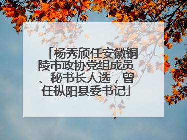 杨秀颀任安徽铜陵市政协党组成员、秘书长人选，曾任枞阳县委书记