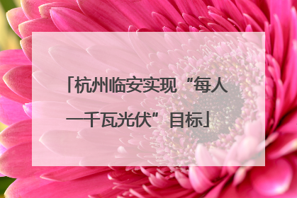 杭州临安实现“每人一千瓦光伏”目标