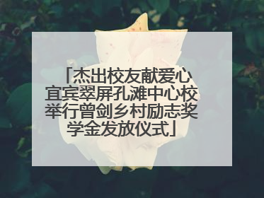 杰出校友献爱心 宜宾翠屏孔滩中心校举行曾剑乡村励志奖学金发放仪式
