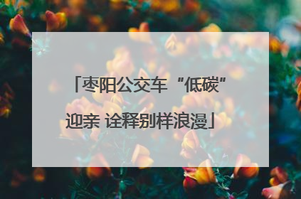 枣阳公交车“低碳”迎亲 诠释别样浪漫