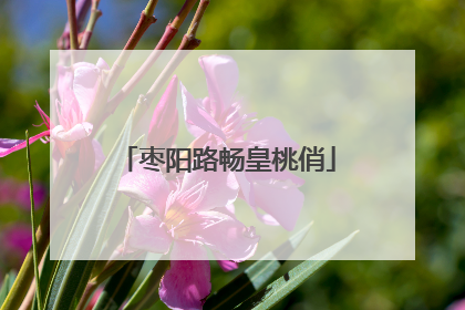 枣阳路畅皇桃俏