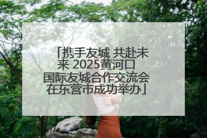 携手友城 共赴未来 2025黄河口国际友城合作交流会在东营市成功举办
