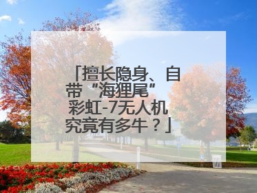 擅长隐身、自带“海狸尾” 彩虹-7无人机究竟有多牛？