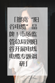 擦亮“阳谷电缆”品牌！市场监管总局到阳谷开展电线电缆专题调研