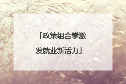 政策组合拳激发就业新活力