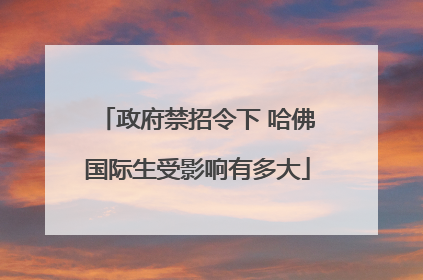 政府禁招令下 哈佛国际生受影响有多大