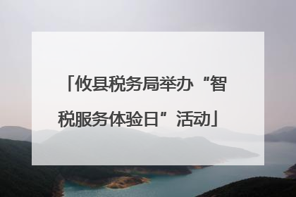 攸县税务局举办“智税服务体验日”活动