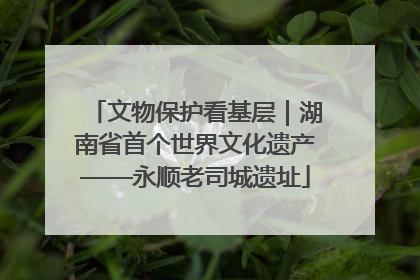 文物保护看基层｜湖南省首个世界文化遗产——永顺老司城遗址