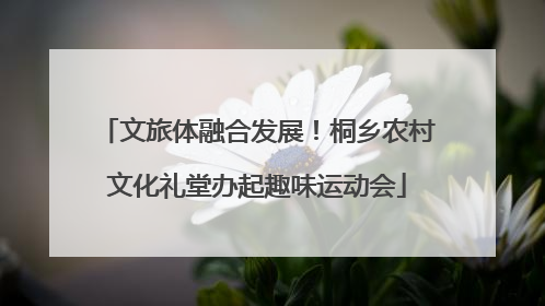文旅体融合发展！桐乡农村文化礼堂办起趣味运动会