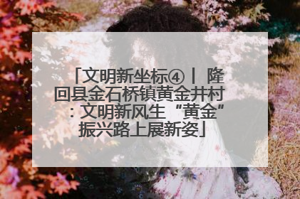 文明新坐标④丨 隆回县金石桥镇黄金井村：文明新风生“黄金” 振兴路上展新姿
