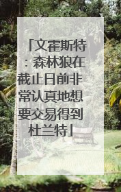 文霍斯特：森林狼在截止日前非常认真地想要交易得到杜兰特