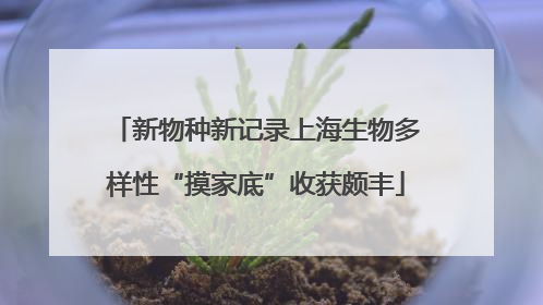 新物种新记录上海生物多样性“摸家底”收获颇丰