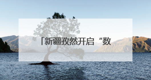 新疆孜然开启“数字丝路”新征程