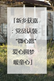 新乡获嘉：党员认领“微心愿” 爱心圆梦暖童心