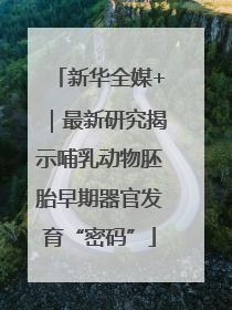 新华全媒+｜最新研究揭示哺乳动物胚胎早期器官发育“密码”